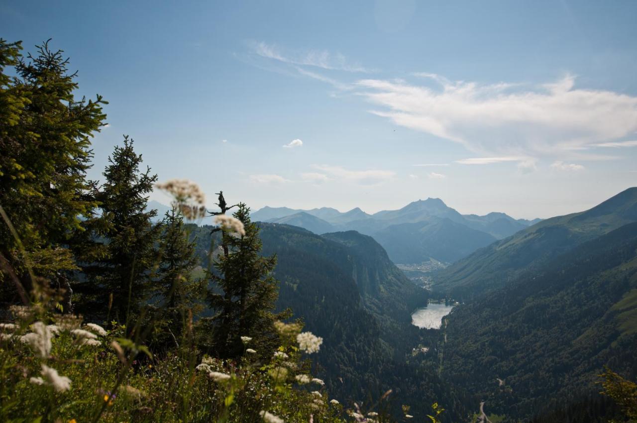 Chalet Sur Les Monts Morzine Монтрион Екстериор снимка