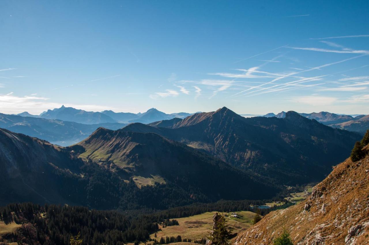Chalet Sur Les Monts Morzine Монтрион Екстериор снимка