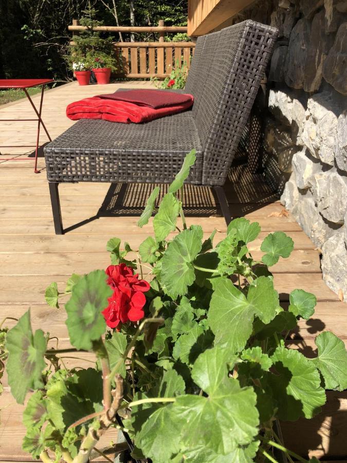 Chalet Sur Les Monts Morzine Монтрион Екстериор снимка